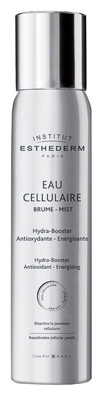 INSTI EAU CELLULAIRE BRUME 100 ML - Farmamood