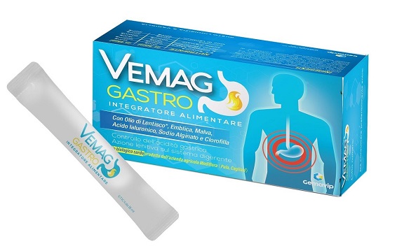 VEMAG GASTRO 20 STICK - Farmamood
