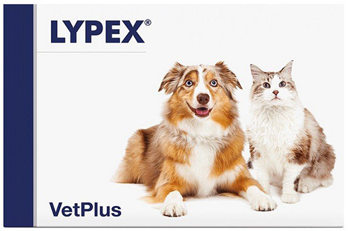 LYPEX 60 CAPSULE - Farmamood