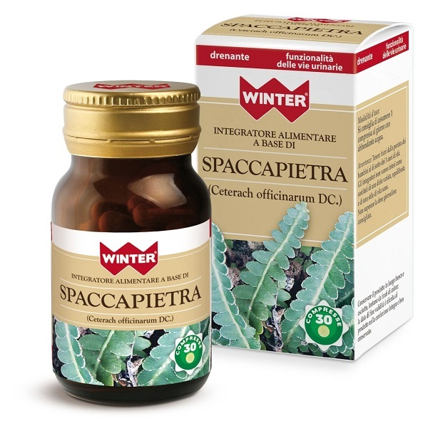 SPACCAPIETRA 30 COMPRESSE WINTER - Farmamood
