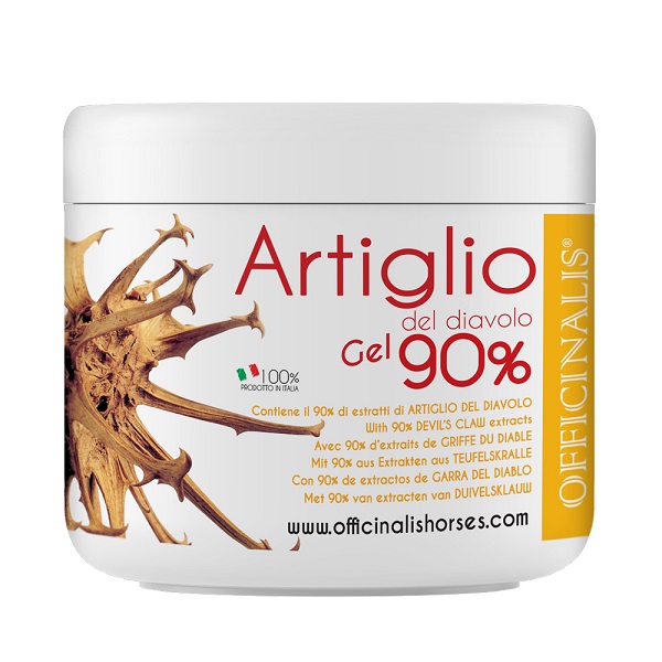 ARNICA GEL 90% 250 ML - Farmamood