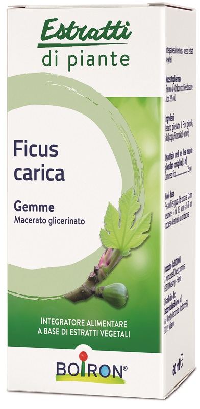 FICUS CARICA GEMME MACERATO GLICERINATO 60 ML INT - Farmamood