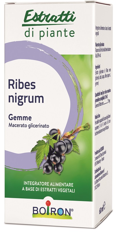 RIBES NIGRUM MACERATO GLICERICO 60 ML INT - Farmamood