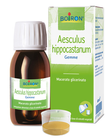AESCULUS HIPPOCASTANUM MACERATO GLICERICO 60 ML INT - Farmamood