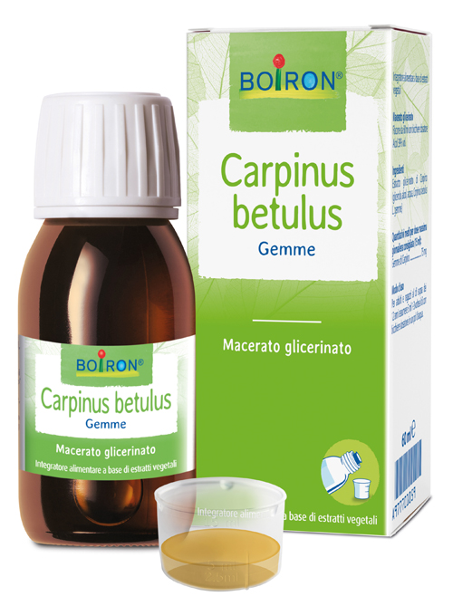 CARPINUS BETULUS MACERATO GLICERICO 60 ML INT - Farmamood