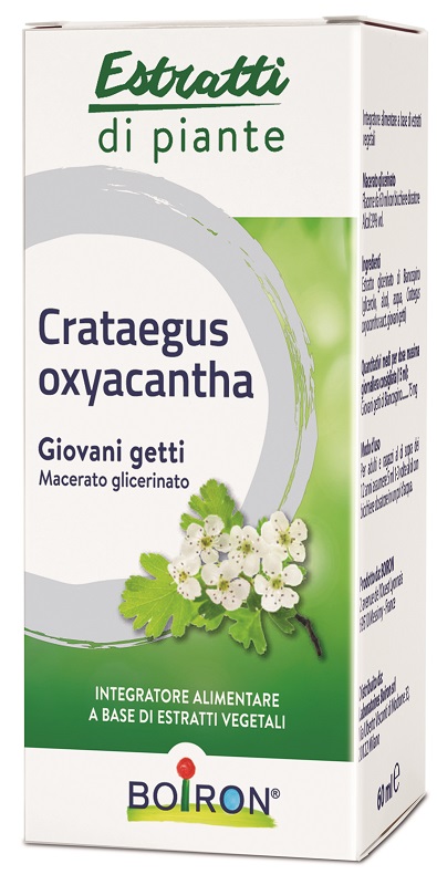 CRATAEGUS OXYACANTHA MACERATO GLICERICO 60 ML INT - Farmamood