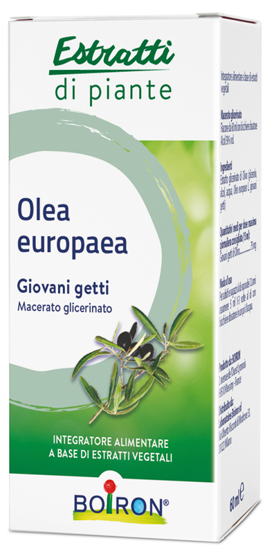 OLEA EUROPAEA MACERATO GLICERICO 60 ML INT - Farmamood