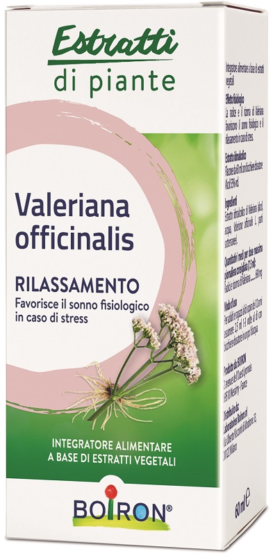 VALERIANA OFFICINALIS ESTRATTO IDROALCOLICO 60 ML INT - Farmamood