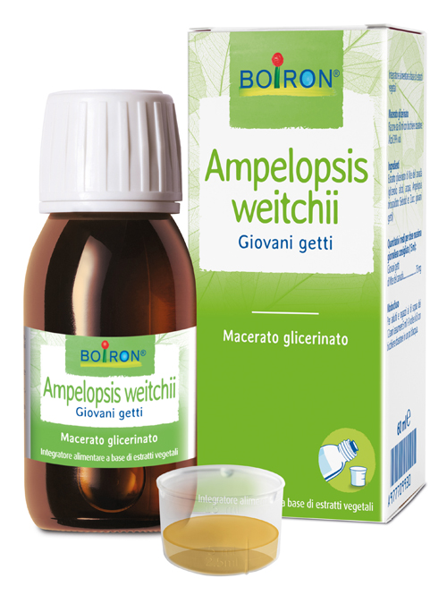 AMPELOPSIS WEITCHII MACERATO GLICERICO 60 ML INT - Farmamood