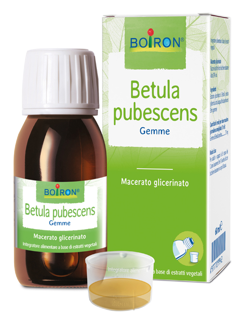 BETULA PUBESCENS MACERATO GLICERICO 60 ML INT - Farmamood