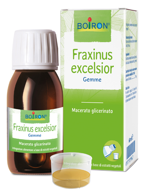 FRAXINUS EXCELSIOR MACERATO GLICERICO 60 ML INT - Farmamood