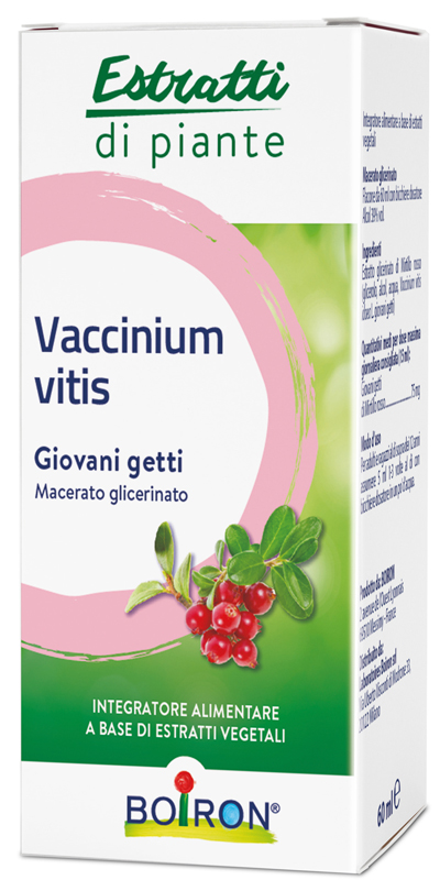 VACCINIUM VITIS MACERATO GLICERICO 60 ML INT - Farmamood