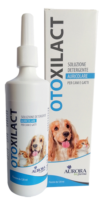 OTOXILACT DETERGENTE AURICOLARE - Farmamood