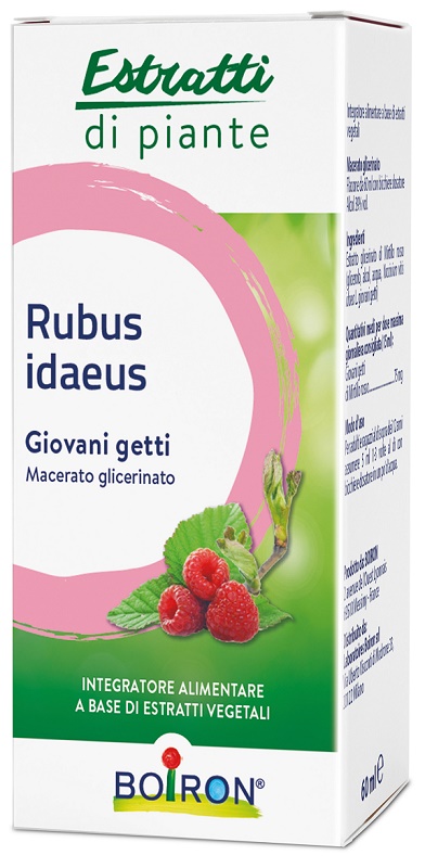 RUBUS IDAEUS GIOVANI GETTI ESTRATTO IDROALCOLICO 60 ML - Farmamood