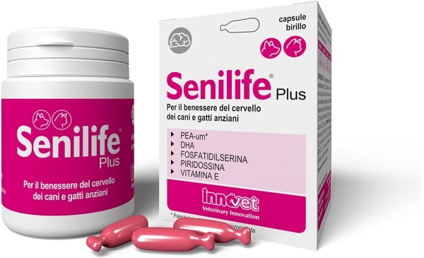 SENILIFE PLUS 60 CAPSULE - Farmamood