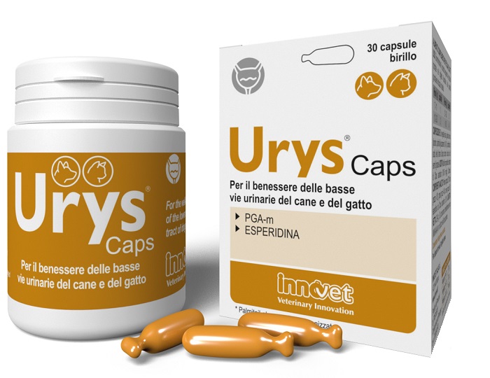 URYS CAPS 30 CAPSULE - Farmamood