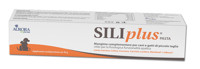 SILIPLUS PASTA 30 G - Farmamood