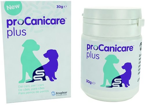 PROCANICARE PLUS 30 G - Farmamood